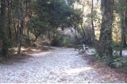 This view is from the entrance looking in.  The water and electric hookups are on the right with a picnic table behind them.  A ground grill is located on the far left.  The back and left side of the site are surrounded with mixed hardwood trees and shrubs. A trail leads out the back of the site to the restrooms. Sparse vegetation on the back right of the site leaving it open to #56.