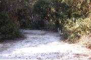 This view is from the entrance looking in.  The water and electric hookups are on the right, a picnic table is in the back right and a ground grill is in the back left.  This site is surrounded with mixed hardwood trees and shrubs except in the back left side where it is open to #55.  There is a trail leading out the back of the site to the restrooms.