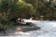 This view is from the left of the entrance with brown site marker #32 showing.  This is a back-in site that can accommodate campers up to 25 feet in length.  The site is surrounded by small mixed hardwood trees and shrubs.  There is a picnic table on the left of the site and water and electric hookups on the back right side.