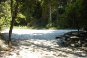 This view is from the back of the site looking toward the campground road.  A picnic table and ground grill is on the right side.  The view across the road is of heavily wooded mixed hardwood forest.