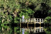 A gentleman fishes on the South Creek dock along the Lester Finley Trail.