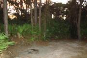 View of picnic table and grill