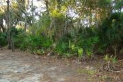 View looking in from front of site and utilities