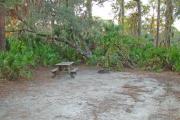 View of picnic table and grill