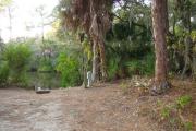 View looking in from front of site and utilities