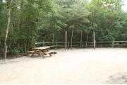 40 foot back in site surrounded by beautiful trees and split rail fencing.