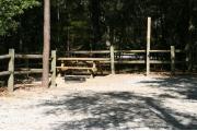 Picnic table and fire ring.