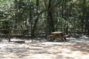 Picnic table in campsite.