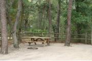 Picnic table and ground grill in campsite.