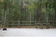 Picnic table and fire ring in campsite.