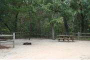 Picnic table and ground grill.