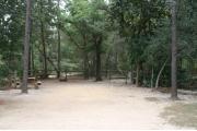 40 foot back in site surrounded by beautiful trees and split rail fencing.