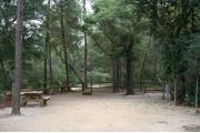 40 foot back in site surrounded by beautiful trees and split rail fencing.