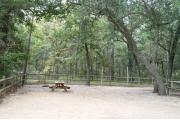 40 foot back in site surrounded by beautiful trees and split rail fencing with school bus in the background.