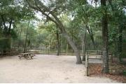 40 foot back in site surrounded by beautiful trees and split rail fencing.
