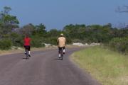 A couple enjoying the warm weather and blues skies rides their bikes around St Andrews State Park two mile loop.