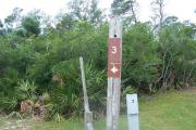 Partly shaded site with sign post three to the right. Sign post connect to another post with a clothes line tied between them. Electrical post and water spigot are located to the right of the post.