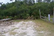 A wide camp site for that oversized tent with a backdrop of dune habitat that boast the natural beauty of St Andrews.