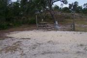 This picture shows the expanse of the site, one of the wider sites in the park. Site five is backed up against a dune with a variety of native vegetation.