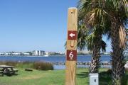 A well formed campsite extends to the lagoon with grass and pine straw covering the ground. Tall pines stand near the waters edge with patchy areas of Saw Palmettos.