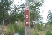Sign post thirteen is located to the right. Sign post connect to another post with a clothes line tied between them. Electrical post and water spigot are located to the right of the post.