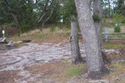 A large cluster of oak trees gathered in the front of this site provides campers shade in the summer from the sun and protects them from winds off the water.