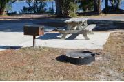 A fire pit, an accessible grill and picnic table are pleasantly located on a paved campsite near a large oak.