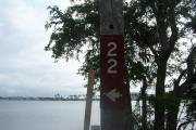 A palm lined gravel campsite that leads you to the lagoon while a picnic table and fire pit wait for you under a leaning palm.
