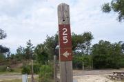 Sign post twenty five is located to the right. Sign post connect to another post with a clothes line tied between them. Electrical post and water spigot are located just to the right of the post.