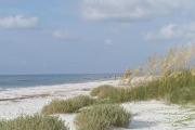 Photo of the beach and dune; shows the beautiful Gulf of Mexico, the sugar white beach and majestic sea oats on the dune.