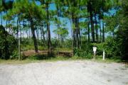 A shell base campsite with native pine trees in the background.  This site does not have shade.