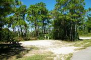 View from the left showing vegetation buffering the campsite.
