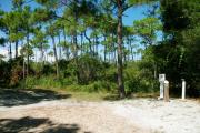 A gravel base campsite with native pine trees in the background.  This site has partial shade and is a preferred tent site.