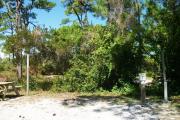 A shell base campsite with native pine trees in the background.  This site has limited shade.
