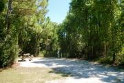 View from the left showing dense vegetation buffering the campsite.