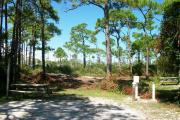 A shell base campsite with native pine trees in the background.  This site has partial shade.