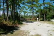 View from left showing some vegetation buffering the campsite.