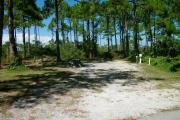View from left showing vegetation buffering the campsite on the right side with not so much of a buffer on the left side.