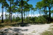 View from right showing picnic table and ground grill.  The back of campsite #10 is also in view.