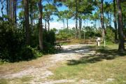 View from left showing vegetation buffering the left side of the campsite.  The back of campsite #9 is also in view.