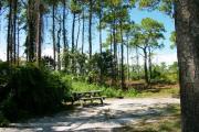 View from the right showing picnic table and ground grill.