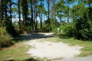 View from the left showing dense vegetation buffering the campsite.