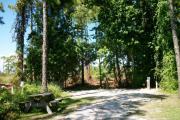 View from the left showing vegetation buffering the campsite and picnic table.