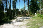 View from the left showing dense vegetation buffering the campsite.