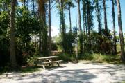 View from the right showing picnic table and ground grill.