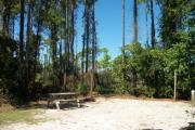 View from the right showing picnic table and ground grill.