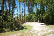 View from the left showing dense vegetation buffering the campsite.
