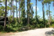 View from the right showing picnic table and ground grill.