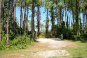 View from the left showing dense vegetation buffering the campsite.