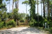 A shell base campsite with native pine trees in the background.  This site has limited shade.
